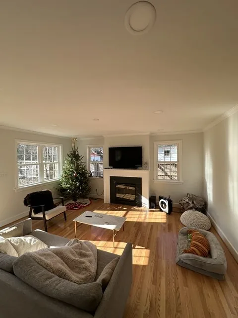 Finished addition living space with new windows and trim work. Park Avenue, Richmond, VA